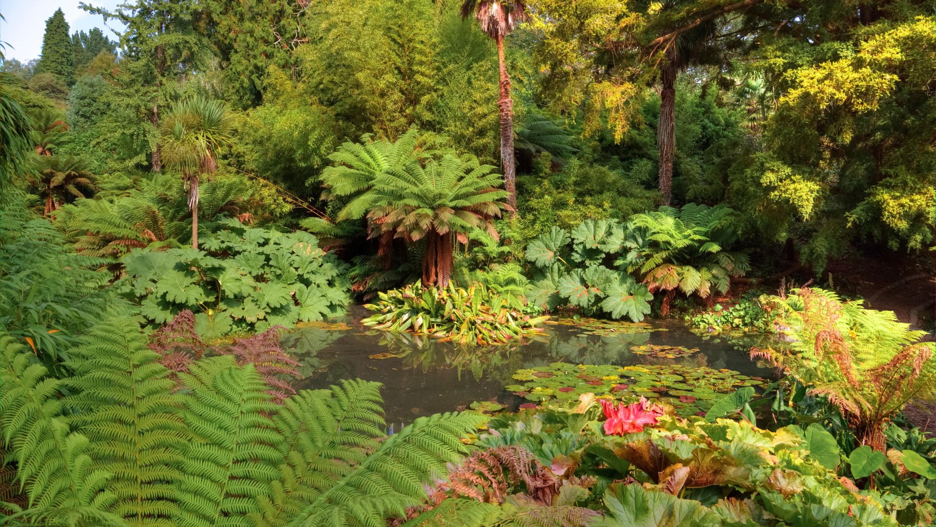 Exóticos jardines ingleses perdidos durante siglos se nombra uno de