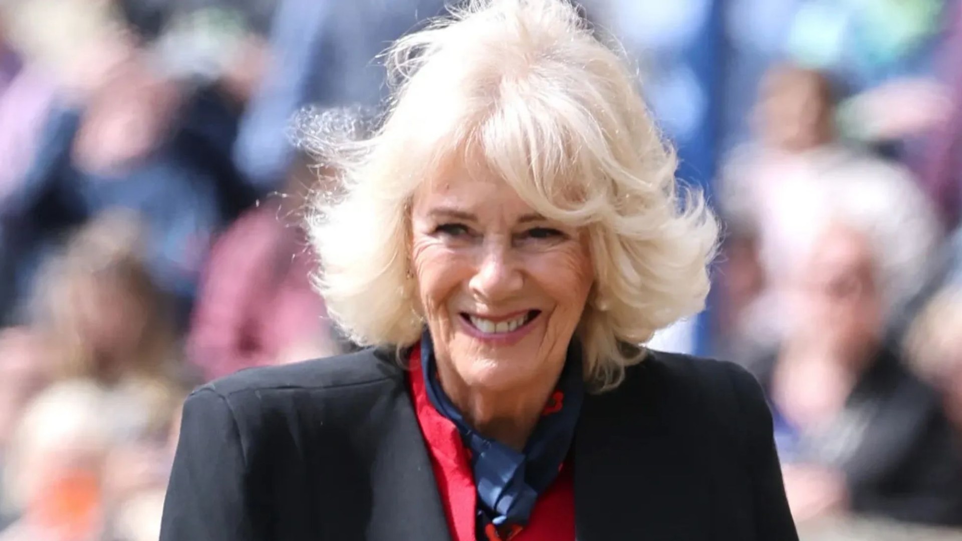 Queen Camilla usa guantes con temas de amapola en la