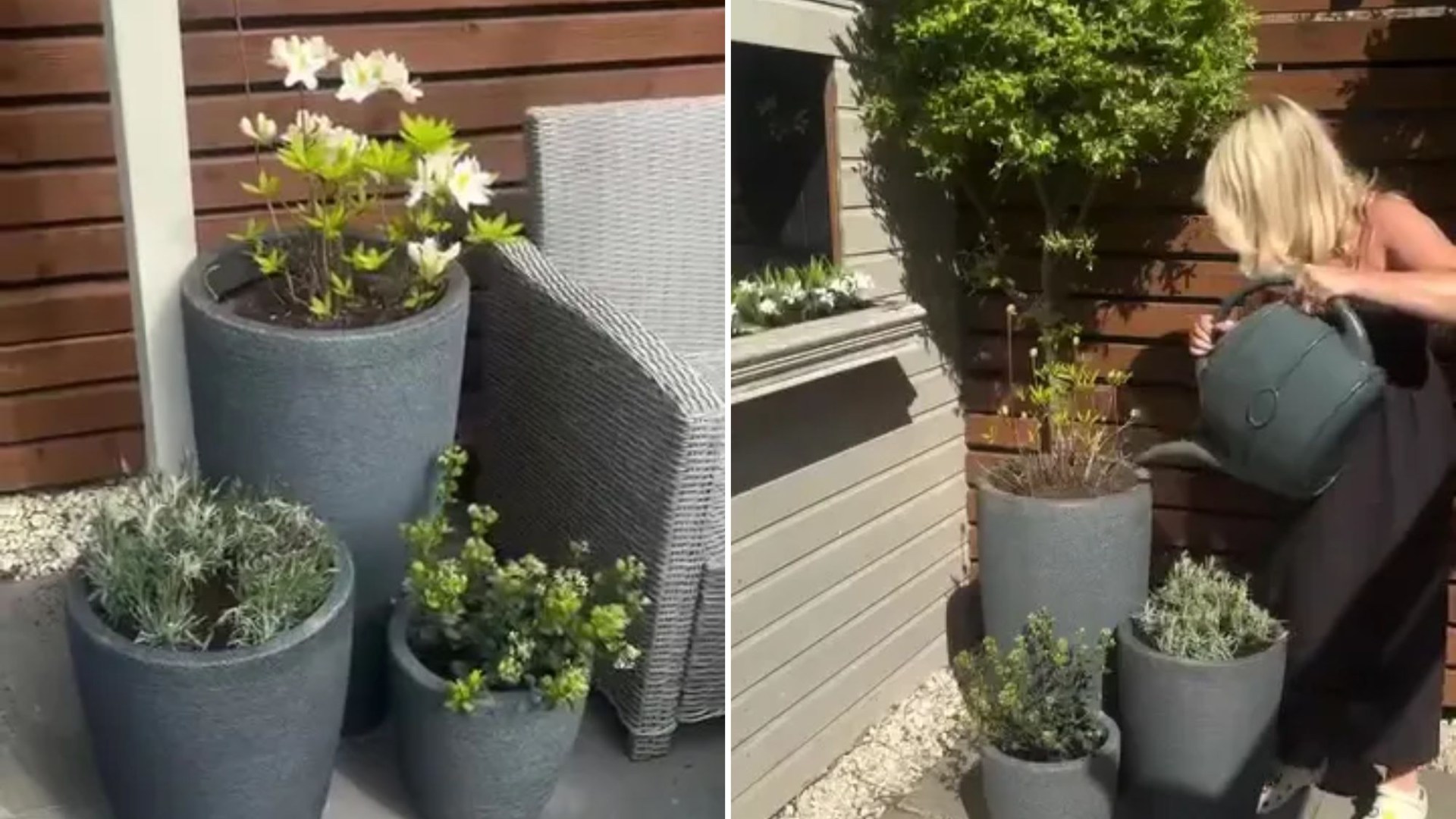 Los compradores de B&M le están dando a sus jardines