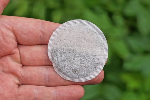 Colocar bolsas de té en su tablero podría ayudar a absorber el exceso de humedad
