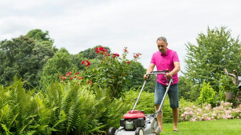 Ex Royal Gardener revela lo que nunca debe hacerle a