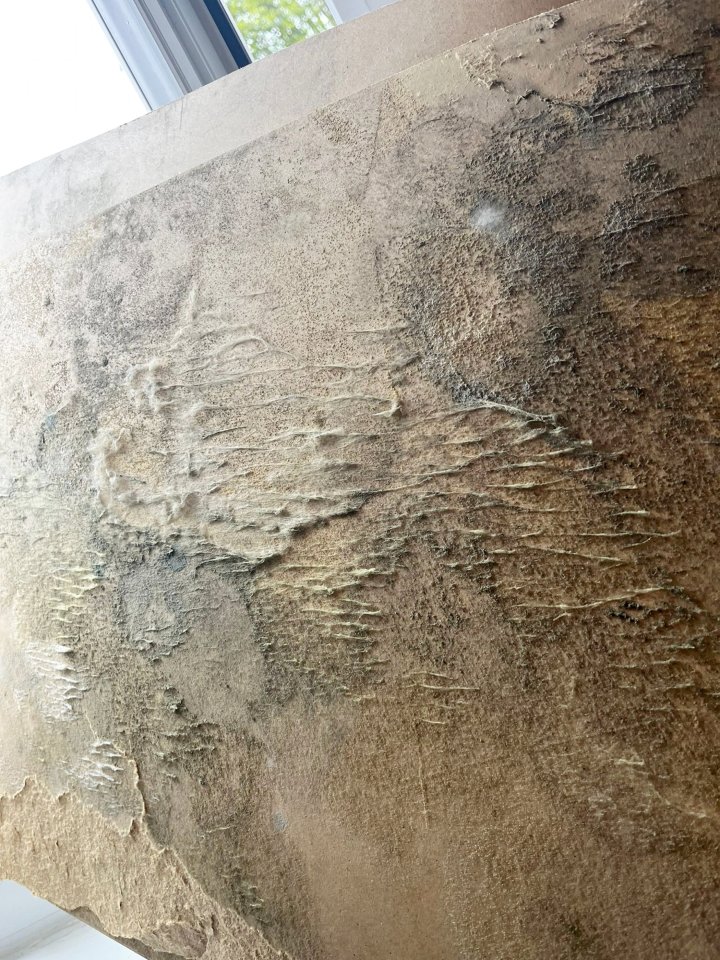 Primer plano de moho y papel tapiz en una pared.