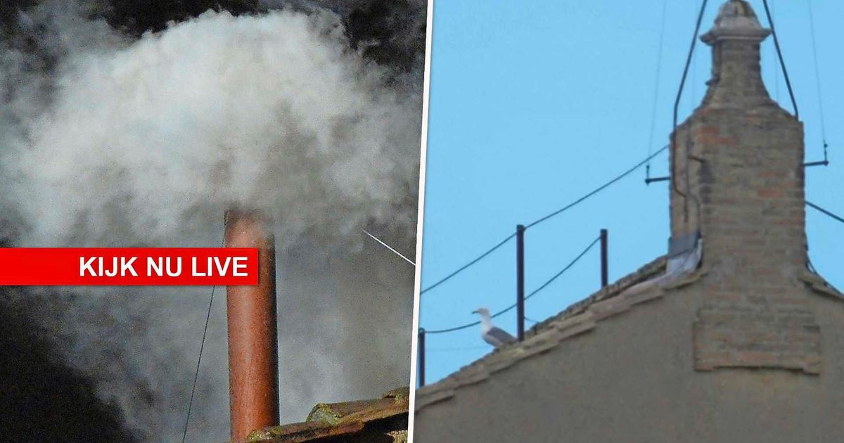 Mira en vivo: ¿humo blanco o no blanco en sint-pietersplein?