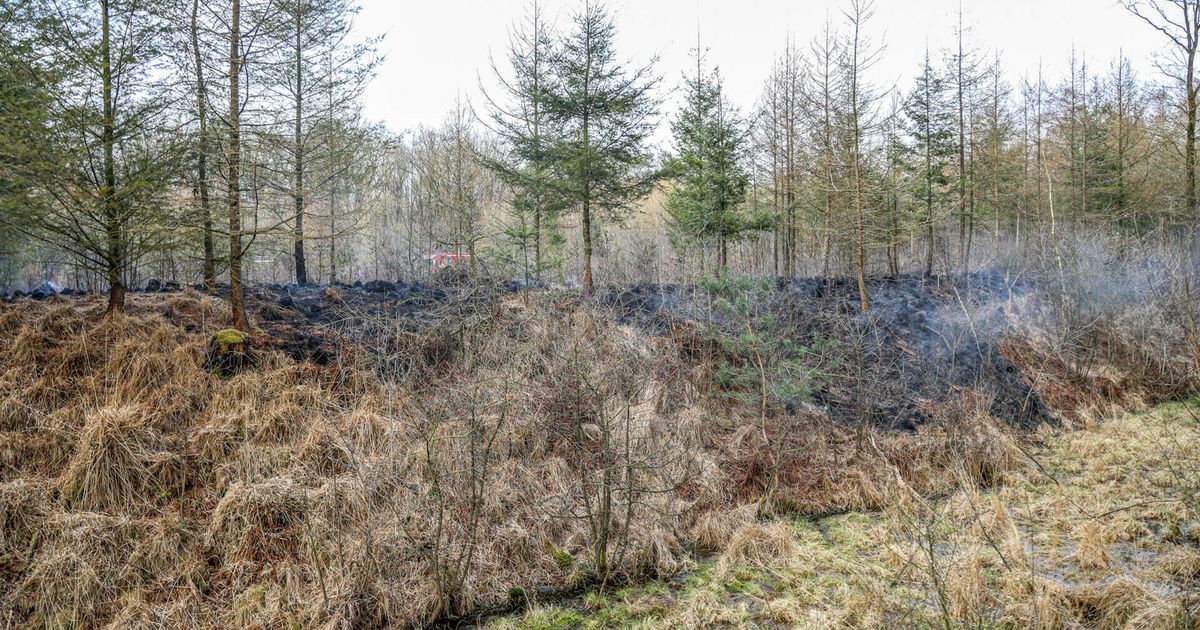 Mayor riesgo de incendios naturales debido a la sequía persistente