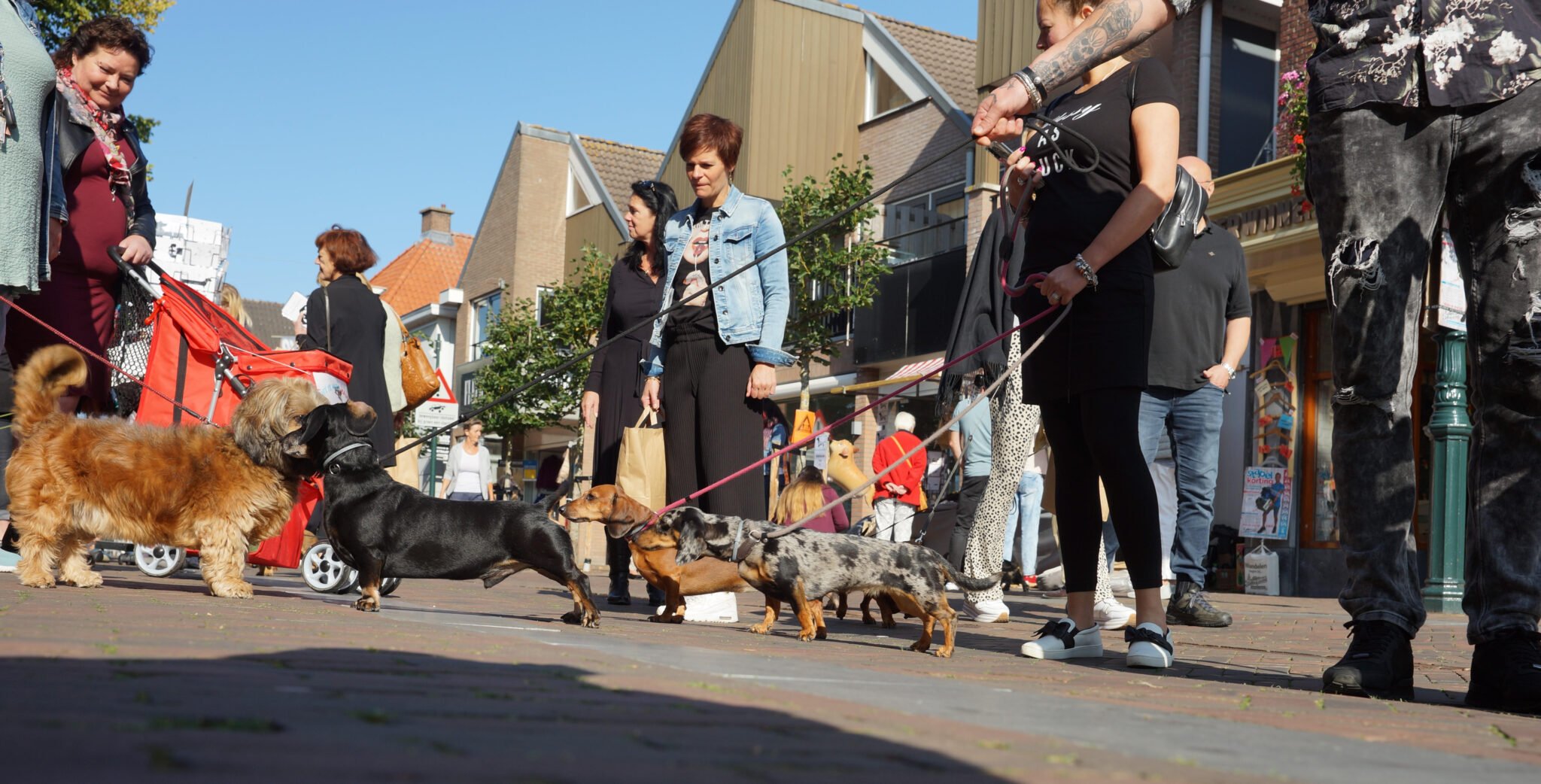 ¡Fin de semana! 5 X haces esto en Zoetermeer (9