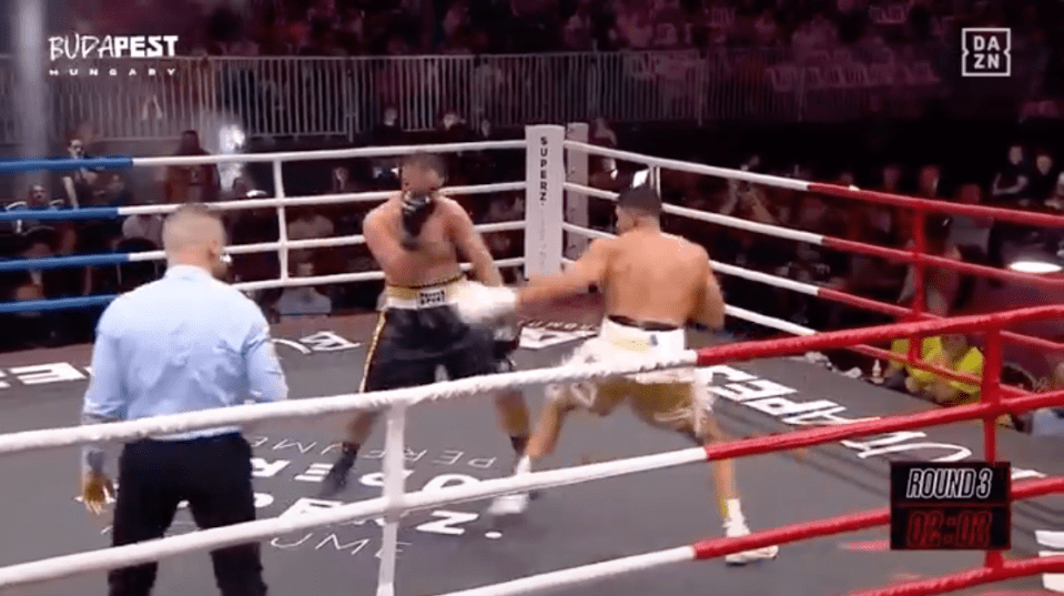 Captura de pantalla de dos boxeadores que luchan en un anillo de boxeo.