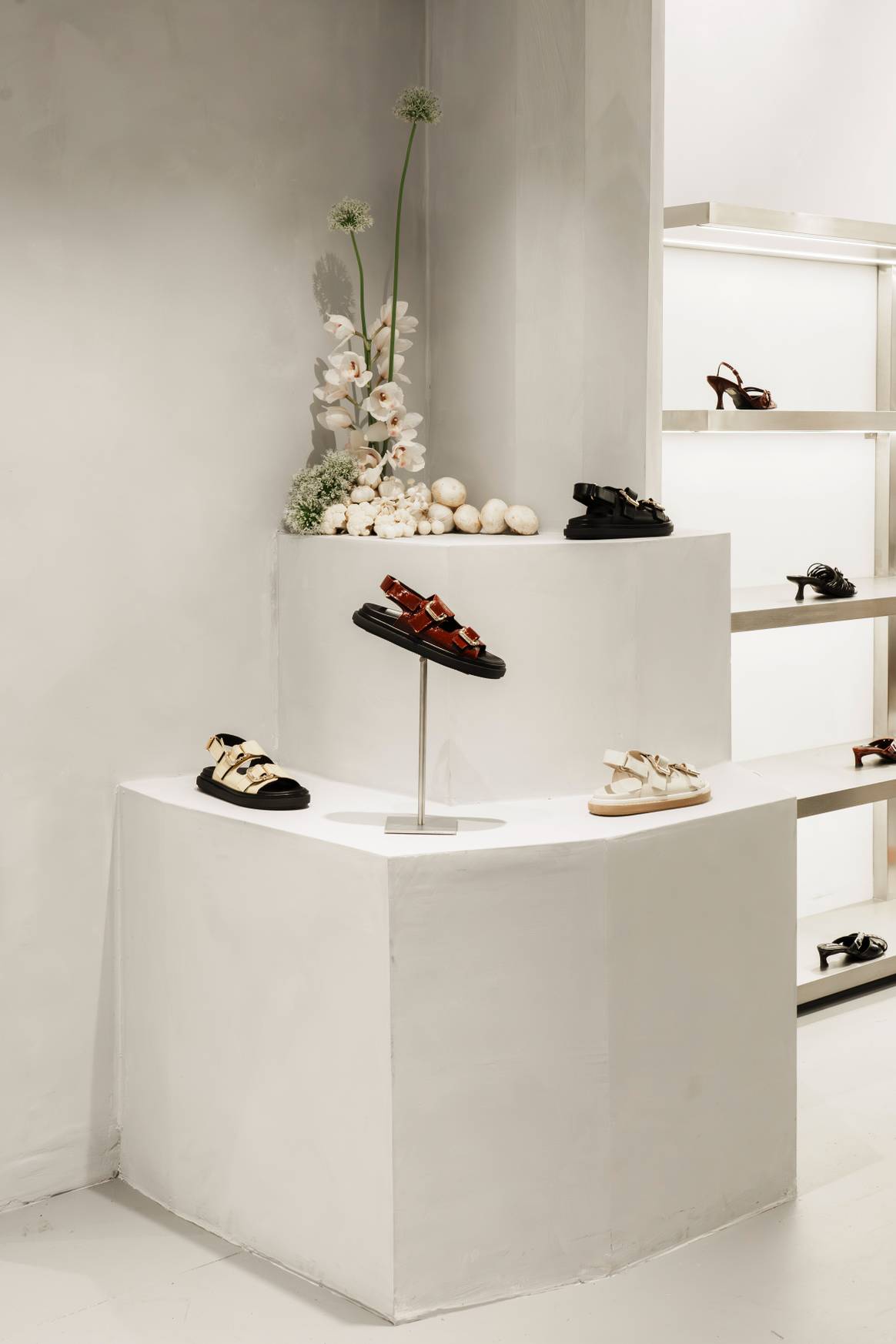 Nueva Tienda de Alohas en ámsterdam. Nueva Tienda de Alohas en ámsterdam.