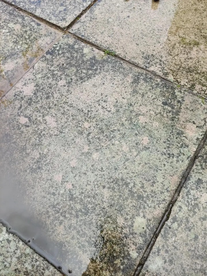 Losas de patio sucias con moho y un charco de agua.