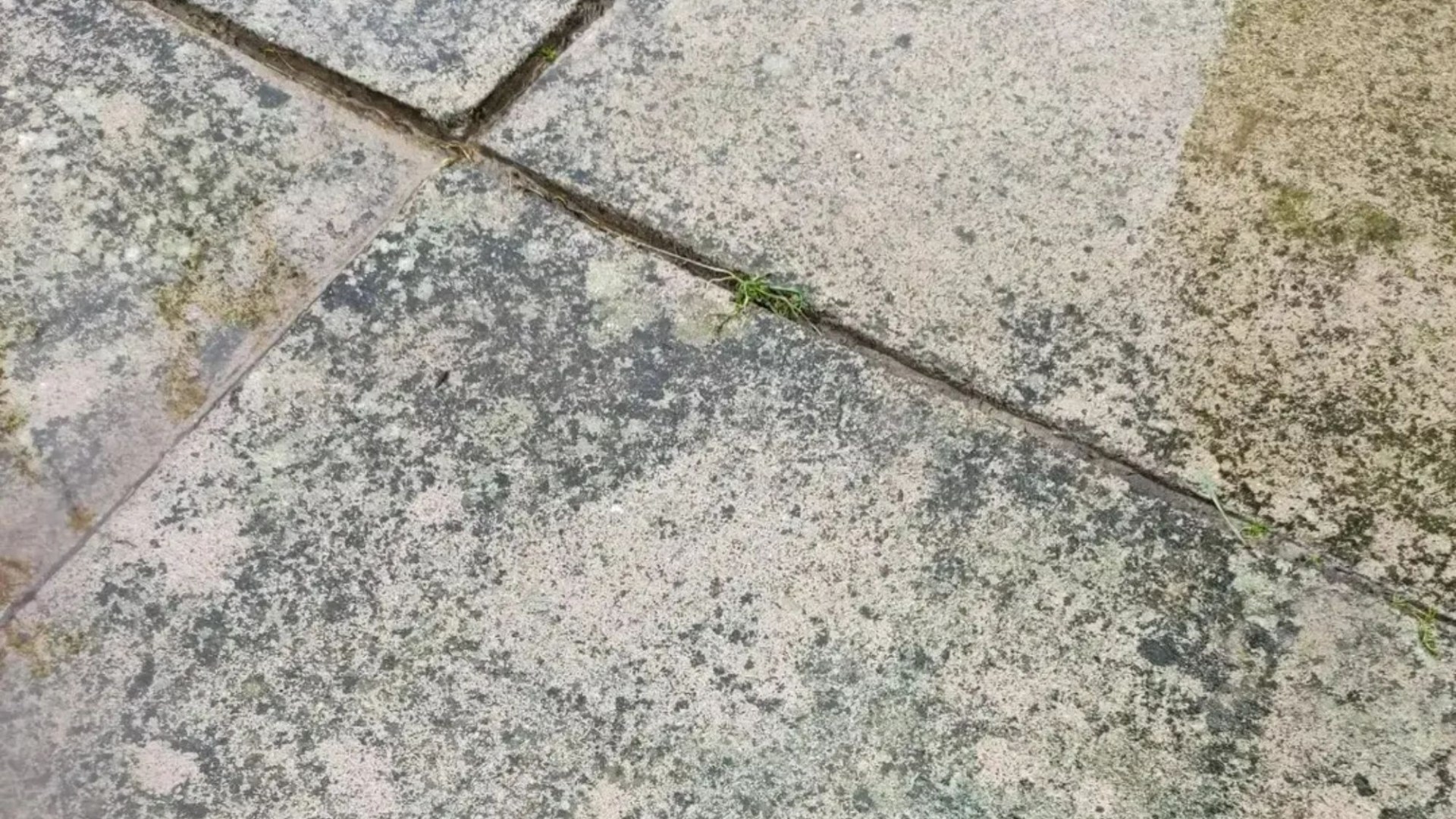 Jet me lavé el patio pero todavía se veía sucio,