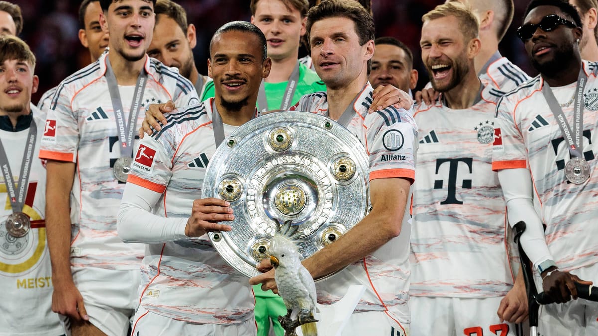 FC Bayern: "escarabajo"Chefont Klub Kakadu estatua después del robo