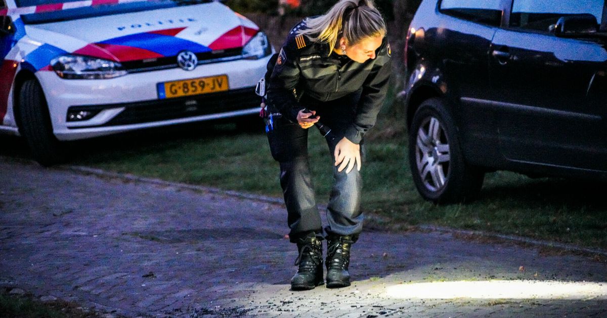 Tres arrestados en Assen en la investigación sobre maltrato en