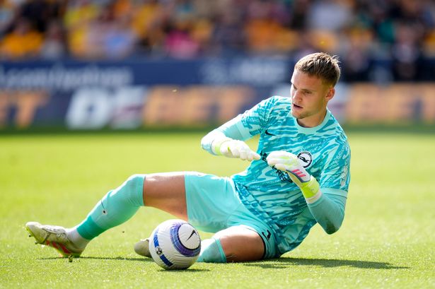Bart Verbruggen durante Wolves vs Brighton