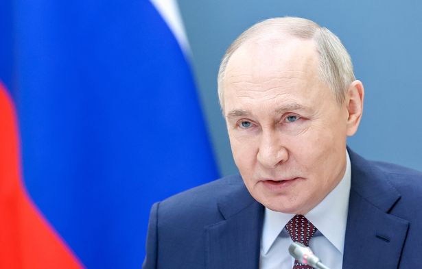 Se insta a Vladimir Putin a encontrarse con Volodymyr Zelensky en Turquía para conversaciones de paz