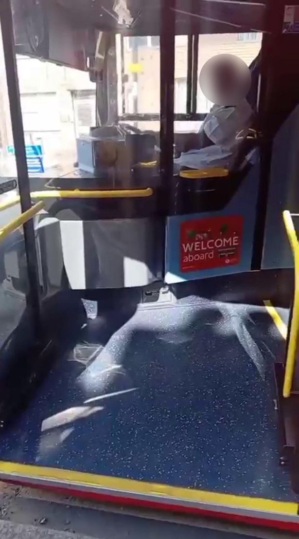 El conductor hizo un gesto para que ella viniera al frente del autobús