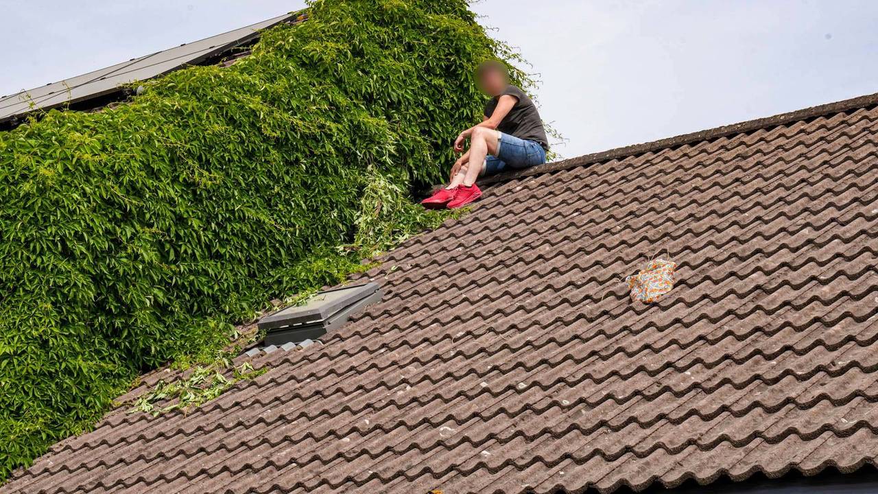 La mujer ayuda a los vecinos podando en el techo