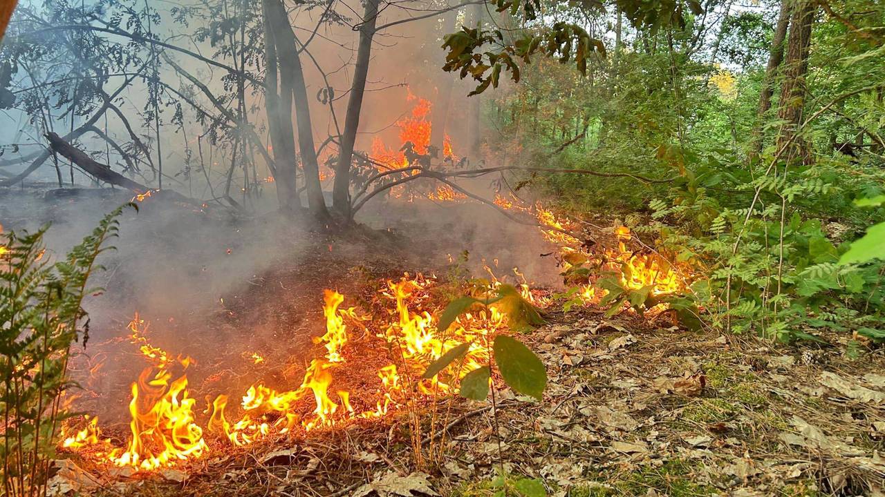 Cuatro incendios naturales en una noche, la brigada de fuego