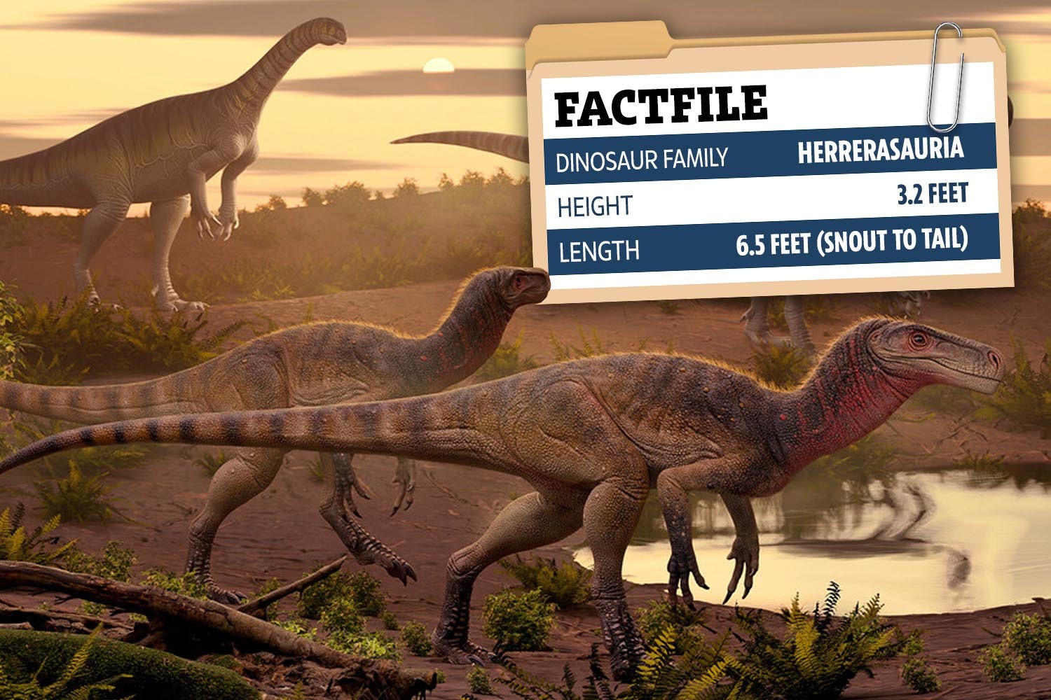 Nuevas especies de dinosaurio asesino del tamaño de un perro