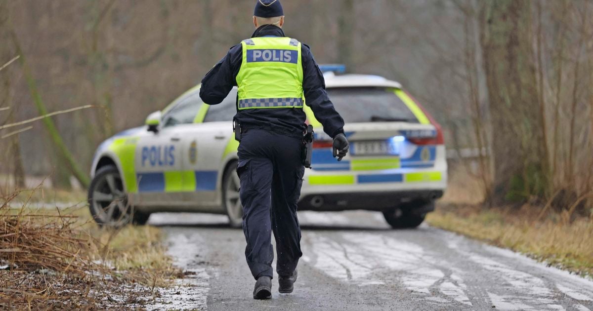 Presunto diplomático sueco encontrado muerto justo después del arresto