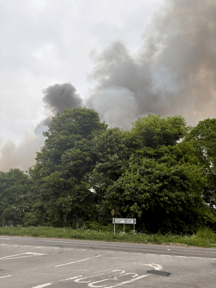 Fumar desde un fuego visible sobre árboles y un camino.