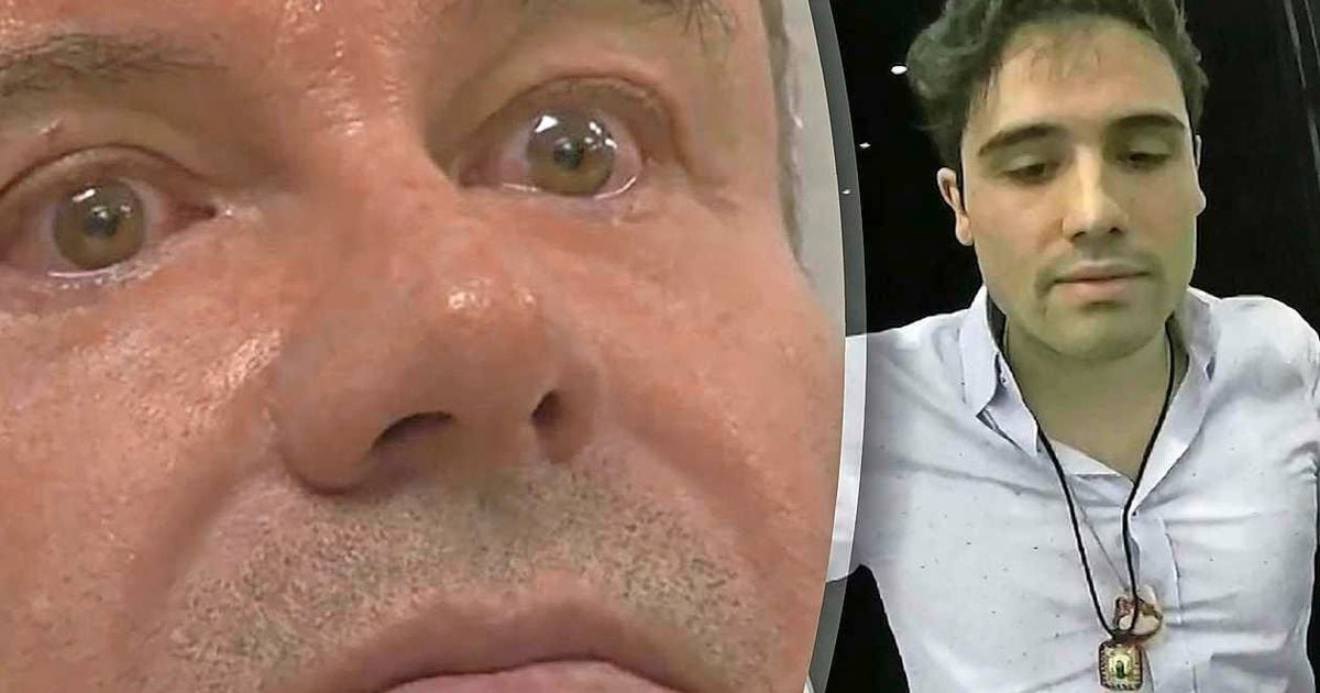 El jefe de drogas de amigos, Joaquín Guzmán, entregó: ¿Quién