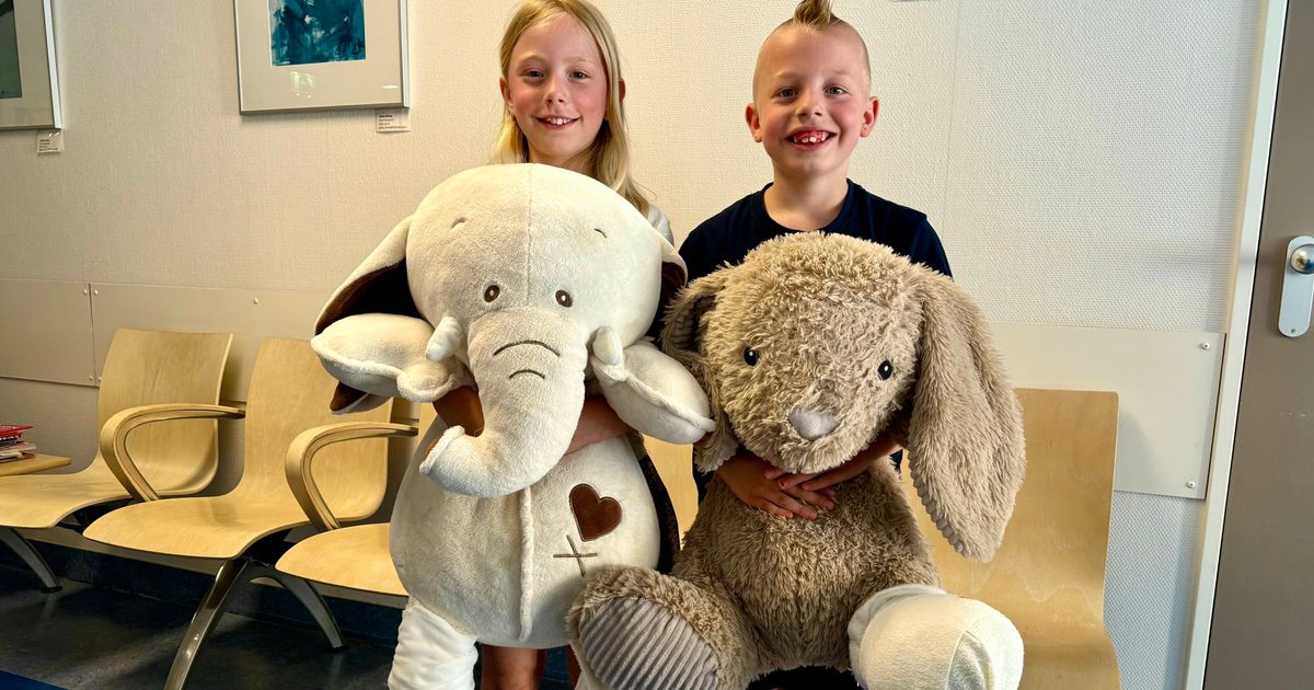 Abrazos al hospital en Emmen: "El elefante tiene un brazo