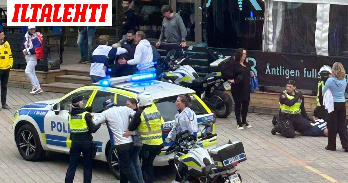 Los fanáticos del león lucharon en un restaurante Kebab, una