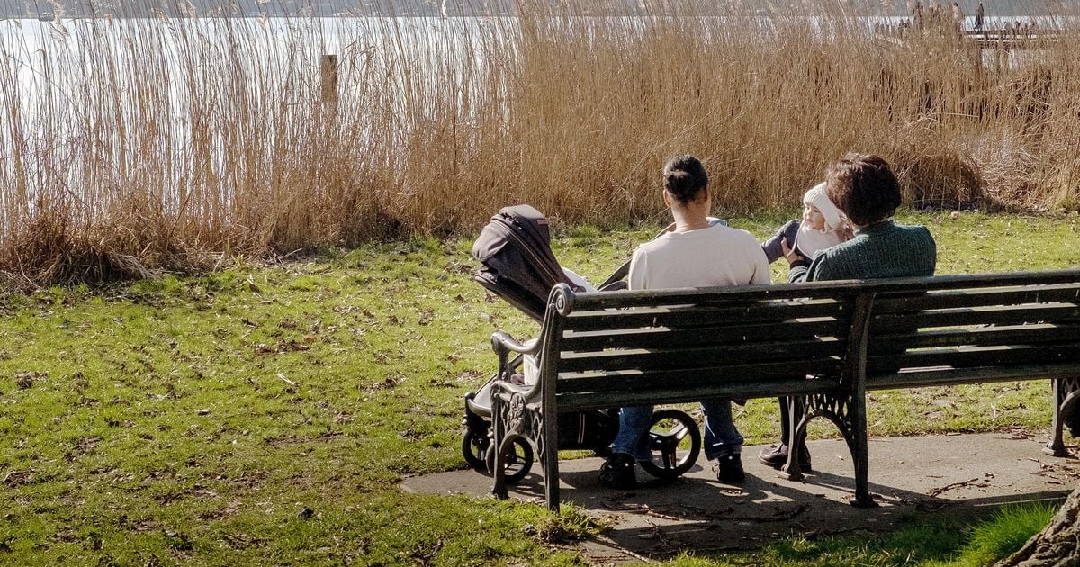 Día soleado con pequeñas posibilidades de lluvia, localmente hasta 20