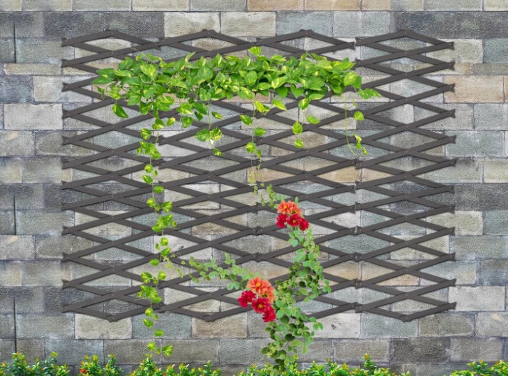 Enrejado de jardín con plantas trepadoras y flores.