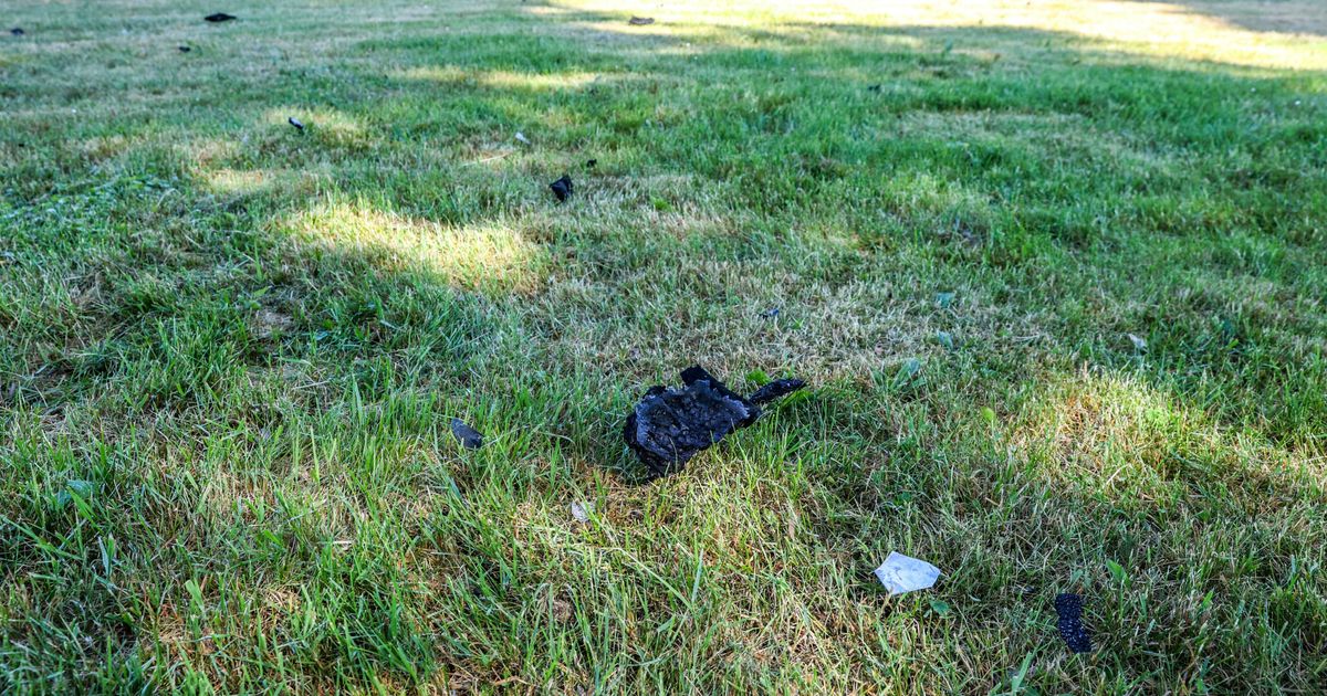 El residente del vecindario estaba despierto de la marca Coevorden: