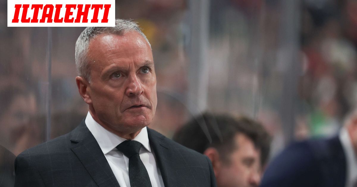 El entrenador en jefe canadiense elogió a los leones