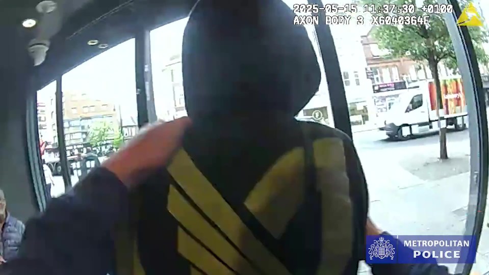 La policía que arresta a un ladrón.