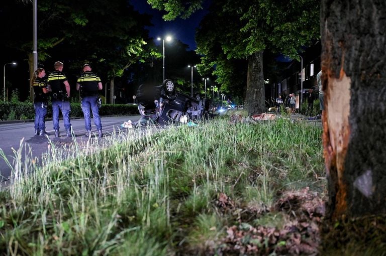 El árbol también fue dañado (Foto: Toby de Kort / Agencia de prensa Heitink).
