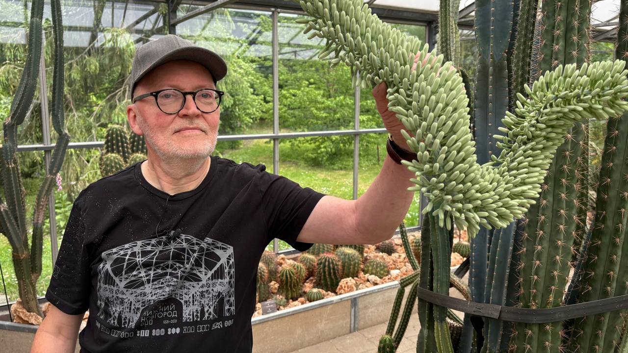 Esta planta comenzó su canción de cisne: 'Spectacular'