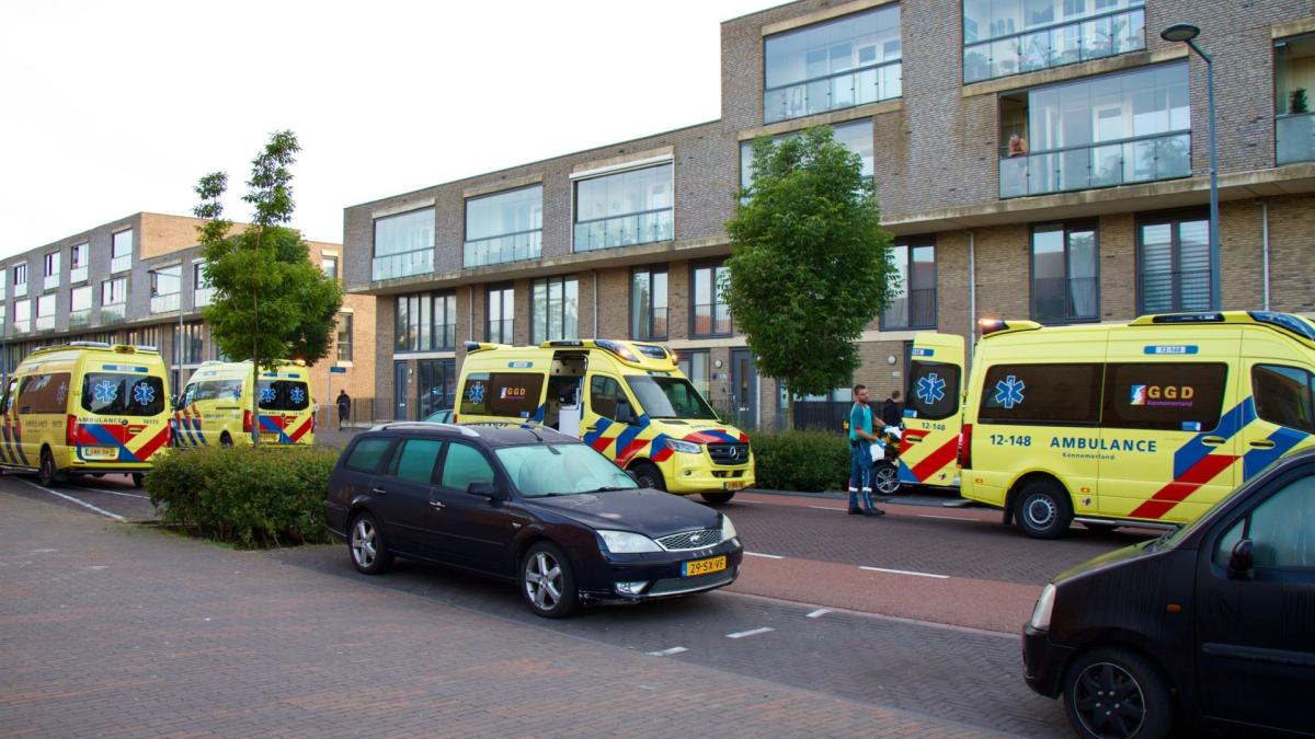 Violencia mortal en Hoofddorp Hogar: los hechos seguidos