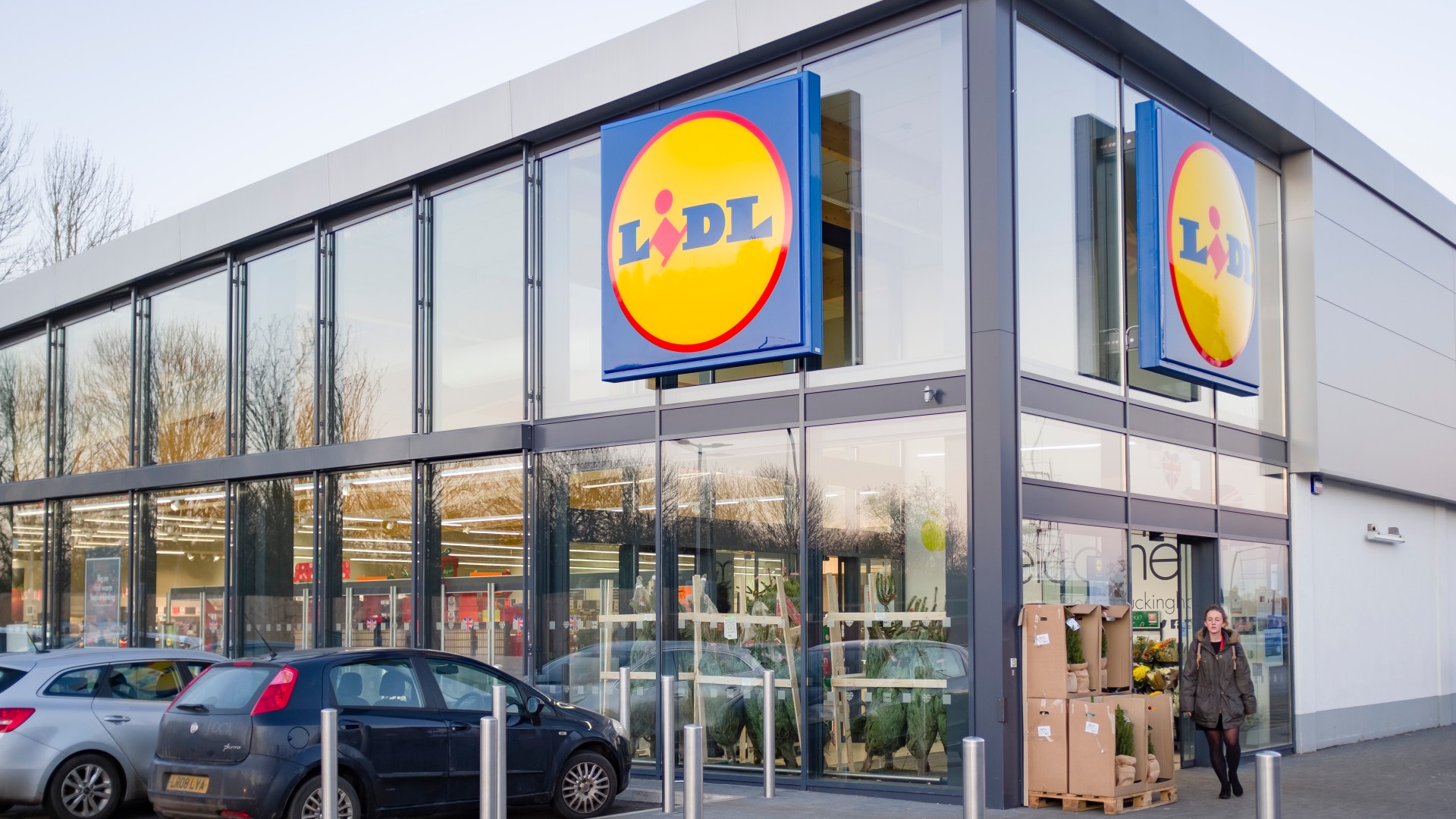 Lidl está vendiendo un dispositivo de bricolaje para el jardín: