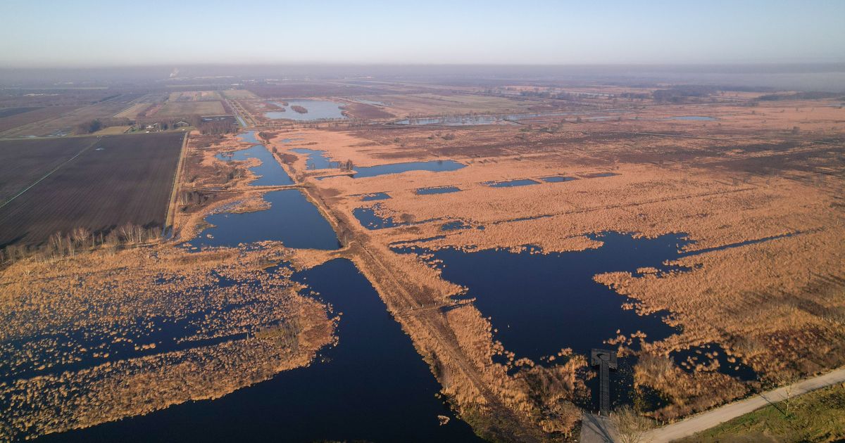 Buffer NoordWest en Bargerveen se reanudó: más de 200 hectáreas