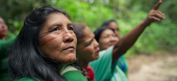 Guardianes en la característica de Amazon brasileña en otro episodio