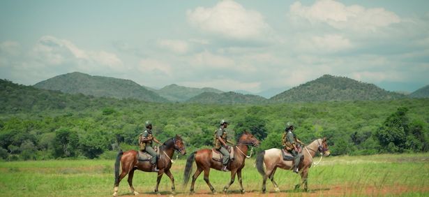 Un episodio se centra en 'Guardian en Sudáfrica