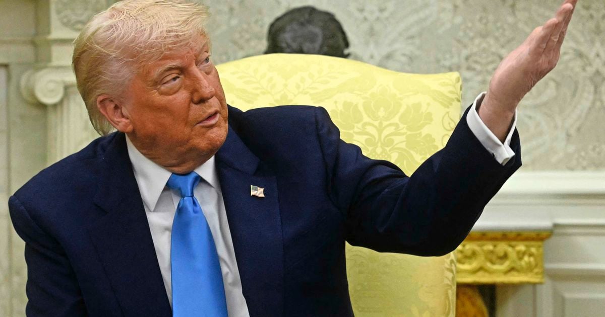 Trump atrae a los tornillos de pulgar para Harvard: no