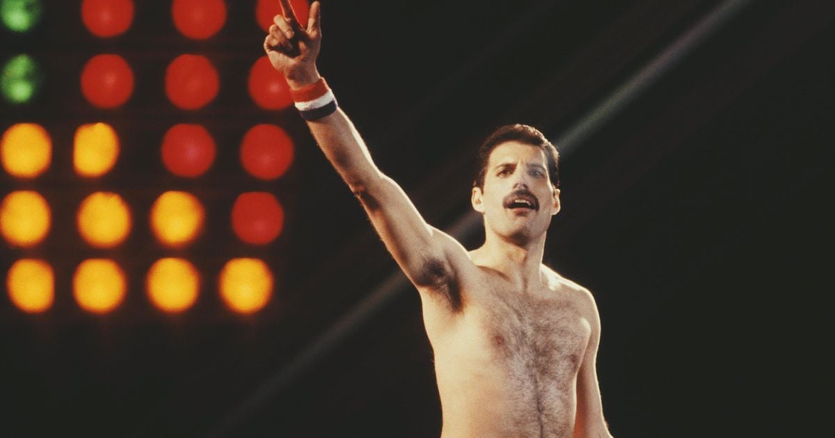 Nuevo libro: 'Freddie Mercury tenía una hija secreta'