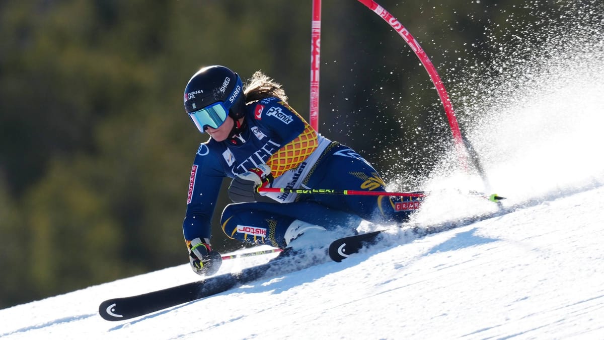 "acoso" En Ski Alpin: Estelle Alphand con acusaciones contra los