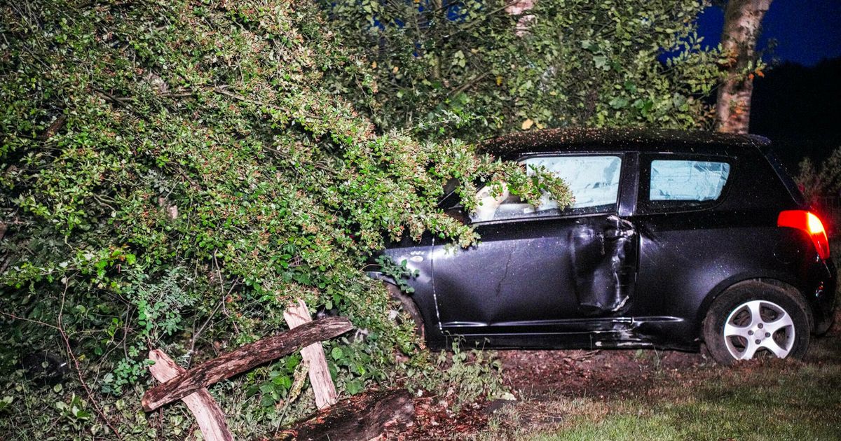 El coche se toca en un árbol y termina en