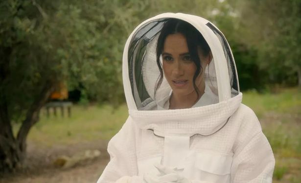 Meghan Markle en su atuendo de apicultura