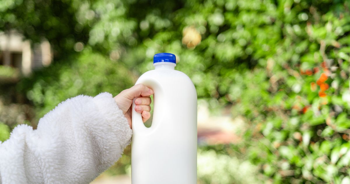Los jardineros instaron a mantener las cartones de leche viejas
