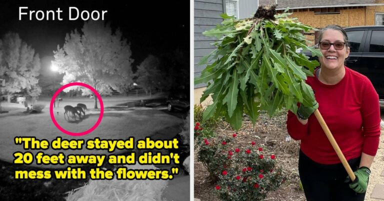31 productos de jardinería que realmente funcionan y tienen la