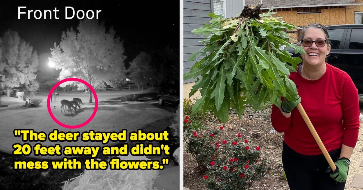 31 productos de jardinería que realmente funcionan y tienen la