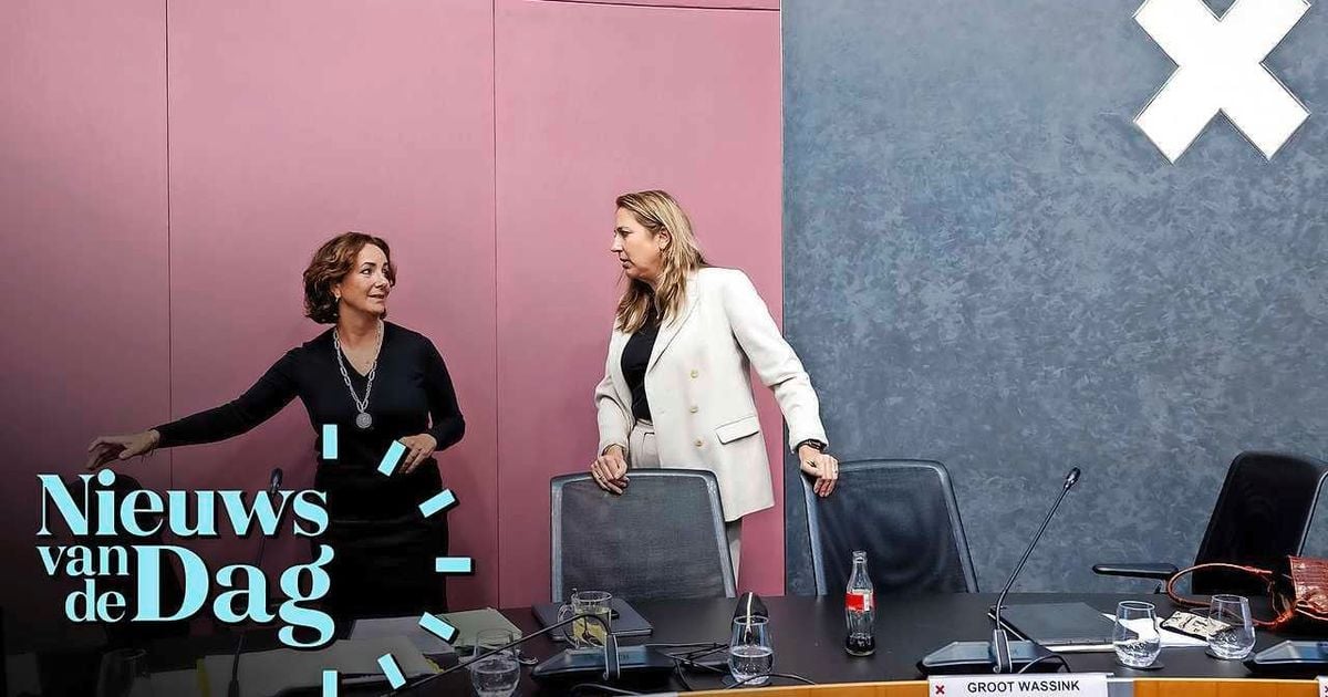 Annabel Nanninga sale de: 'realmente política aficionada'