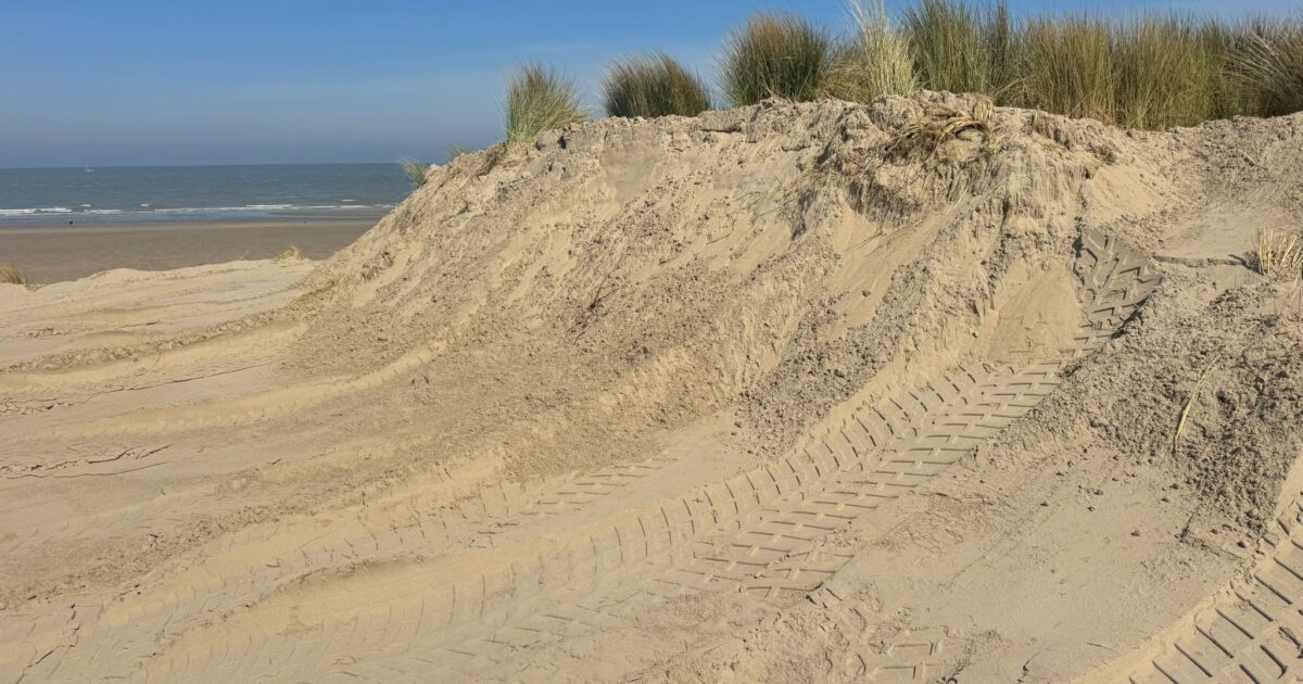 Área de dunas excavada en Zeedijk Westende: "Necesario para la