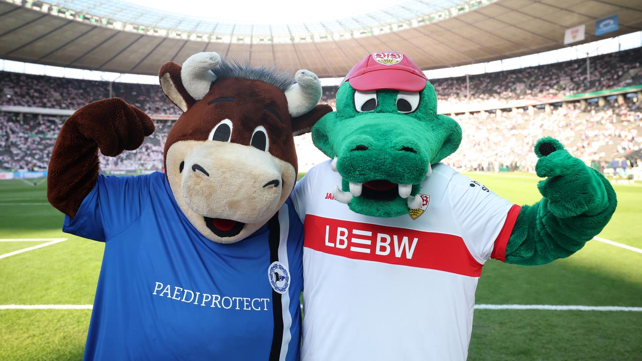 Arminia contra VFB - El equipo de la tercera división