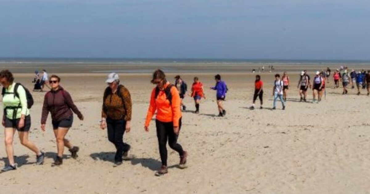 Belga Coast Walk cuenta en edición discográfica con 11,000 participantes